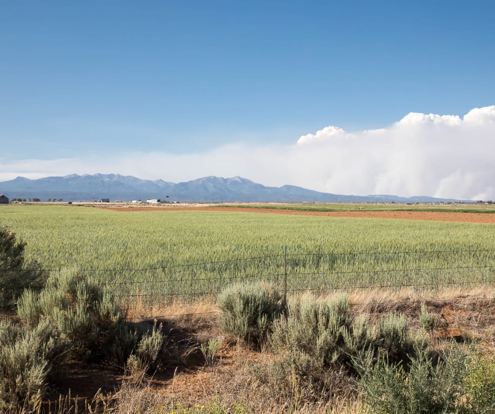 Open skies over Bayfield, Colorado